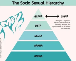 hierarchia