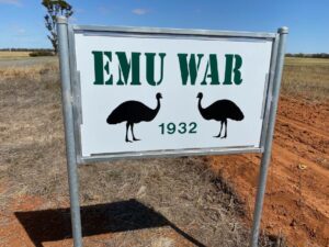 Emuháborút jelző tábla Ausztráliában